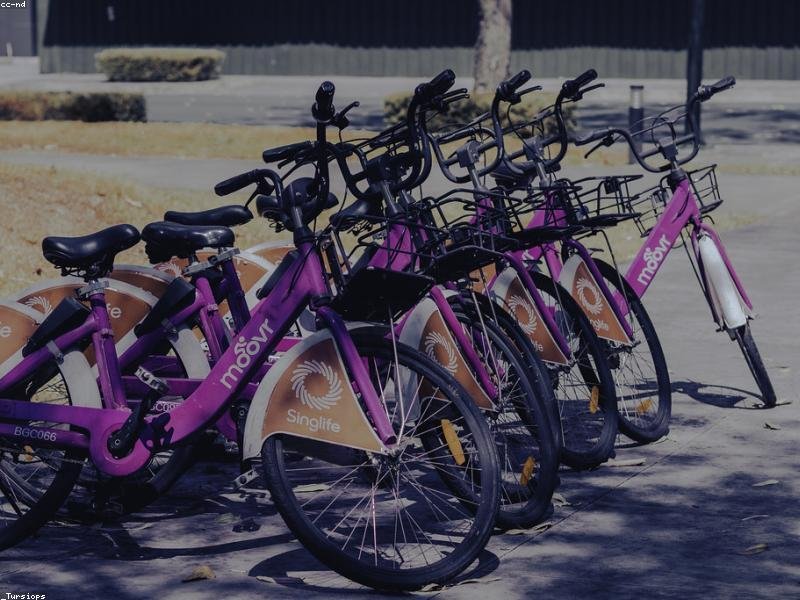 Bike Rental